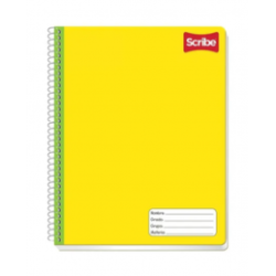 CUADERNO PROFFESIONAL ESPIRAL 100H C 5MM CLASICO