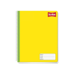 CUADERNO PROFFESIONAL ESPIRAL 100H C 5MM CLASICO