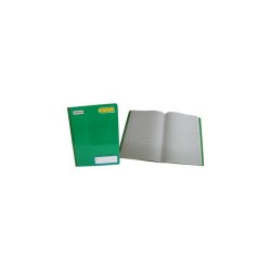 CUADERNO PROFESIONAL NORMA COSIDO COLOR 360 RAYA 100H