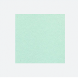 CARTULINA UNIBRISTOL VERDE 50X65 180GRS