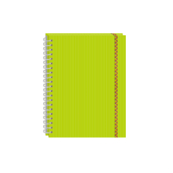 CUADERNO PROFESIONAL ESPIRAL DOBLE 100H RAYA ARCOIRIS PRINTAFORM