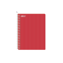 CUADERNO PROFESIONAL ESPIRAL DOBLE 100H RAYA MULTICOLOR PRINTAFORM