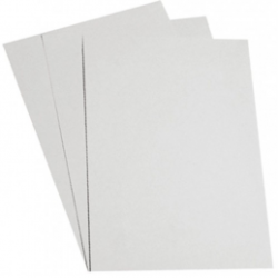 CARTULINA ILUSTRACION ENTERO 0.76X1.02 MTS