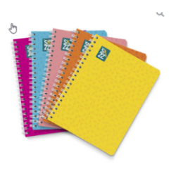 CUADERNO PROFESIONAL SAZZ PLUS 100H RAYA UNIVERSO