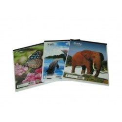 BLOCK CARTA SCRIBE 80 HOJAS ESCOLAR RAYADO