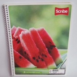 CUADERNO PROFESIONAL SCRIBE MEGA PLUS 100H DOBLE RAYA