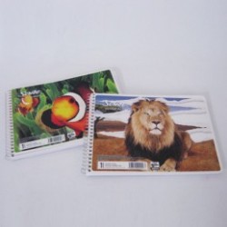 CUADERNO ITALIANO SCRIBE RAYA ESPIRAL 100H MEGA