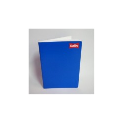 CUADERNO FRANCES SCRIBE ENGRAPADO CUADRO CHICO 100H CLASICO