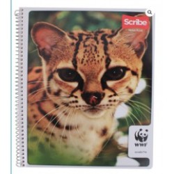CUADERNO SCRIBE PROFESIONAL MIXTO MEGA PLUS 100H