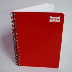 CUADERNO SCRIBE FRANCES RAYA ESPIRAL 100H CLASICO