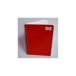 CUADERNO SCRIBE FRANCES RAYA ESPIRAL 100H CLASICO
