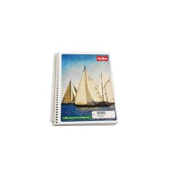 CUADERNO FRANCES SCRIBE RAYA ESPIRAL 100H MEGA