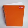 CUADERNO PROFESIONAL RAYA ESPIRAL 100H CLASICO