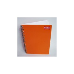 CUADERNO PROFESIONAL RAYA ESPIRAL 100H CLASICO