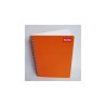 CUADERNO PROFESIONAL RAYA ESPIRAL 100H CLASICO