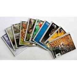 CUADERNO PROFESIONAL SCRIBE MEGA PLUS CUADRO GRANDE 100H