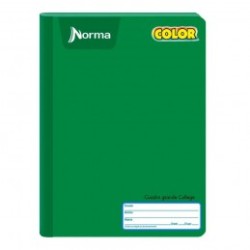 CUADERNO PROFESIONAL COSIDO NORMA COLOR 360o 100H BLANCO