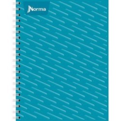 CUADERNO PROFESIONAL NORMA ESPIRAL DOBLE 100H RAYA