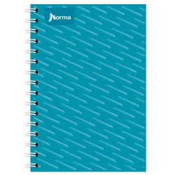 CUADERNO FRANCES NORMA RAYA ESPIRAL 100 HOJAS
