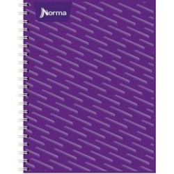 CUADERNO PROFESIONAL NORMA ESPIRAL DOBLE CUADRO CHICO 100HJ