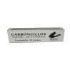 CARBONCILLO PARA DIBUJO VEGETAL 12PZ