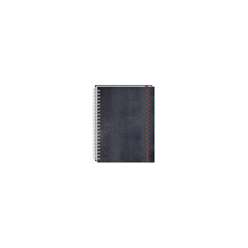 CUADERNO FRANCES ESPIRAL 100H RAYA PORTOFINO