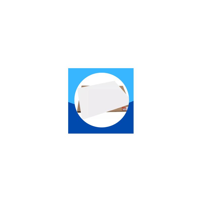 CARTULINA BRISTOL BLANCA 50X65