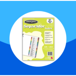 SEPARADOR BRISTOL WILSON JONES 31 DIVISIONES MULTICOLOR PLASTIFICADA