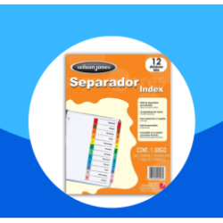 SEPARADOR BRISTOL WILSON JONES 12DIVISIONES CEJA COLORES