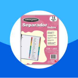 SEPARADOR BRISTOL WILSON JONES CON 15 DIVISIONES CEJA MULTICOLOR PLASTIFICADA