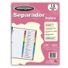 SEPARADOR BRISTOL WILSON JONES CON 15 DIVISIONES CEJA MULTICOLOR PLASTIFICADA