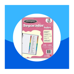 SEPARADOR BRISTOL WILSON JONES CON 15 DIVISIONES CEJA MULTICOLOR PLASTIFICADA