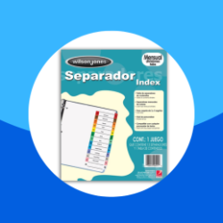 SEPARADOR BRISTOL WILSON JONES  MENSUAL CON 12 DIVISIONES CEJA MULTICOLOR PLASTIFICADA