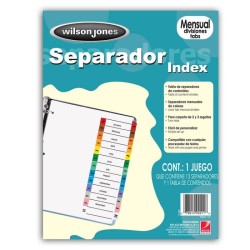 SEPARADOR BRISTOL WILSON JONES  MENSUAL CON 12 DIVISIONES CEJA MULTICOLOR PLASTIFICADA