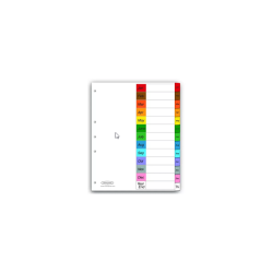 SEPARADOR BRISTOL WILSON JONES  MENSUAL CON 12 DIVISIONES CEJA MULTICOLOR PLASTIFICADA