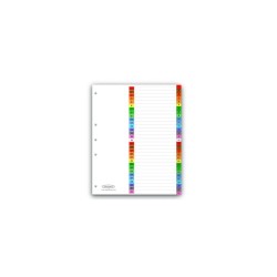 SEPARADOR WLSON JONES MULTIDEX CON 31 DIVISIONES (PAQUETE)