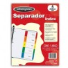SEPARADOR BRISTOL WILSON JONES  CON 5 DIVISIONES CEJA MULTICOLOR PLASTIDFICADA (PIEZA)