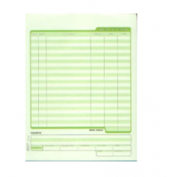 POLIZA DE DIARIO CARTA 50H VERDE (MANO)