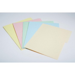 FOLDER DE CARTULINA BEROKY CARTA ROSA