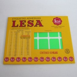 ETIQUETA CHICA FLOURES VERDE LESA 47X21MM 144