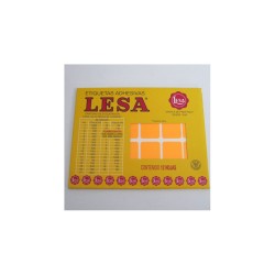 ETIQUETA CHICA FLOURES LESA NARANJA 47X21MM 144